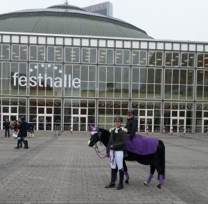 Festhalle2